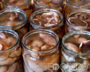 Маринованные маслята