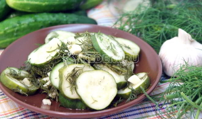 Маринованные огурчики Быстрые