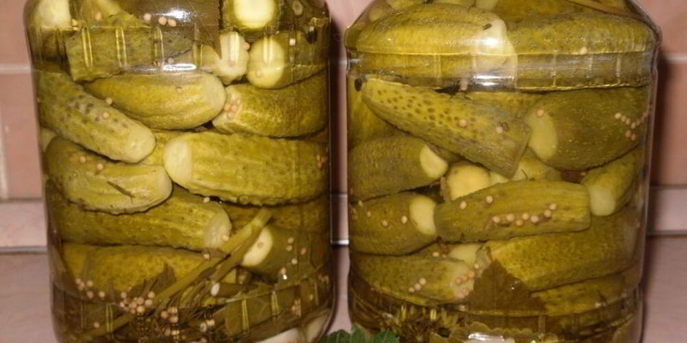 Рецепт маринованных огурчиков по-польски