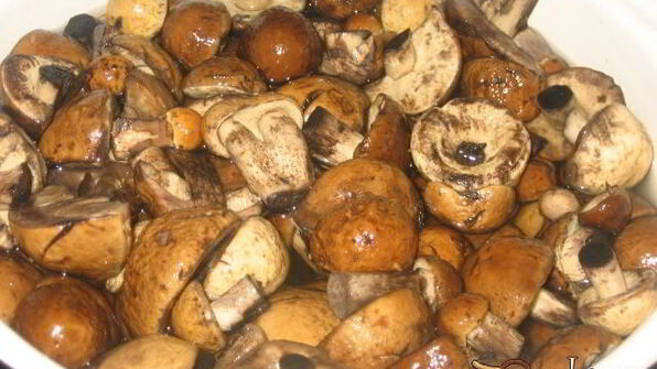 маринованные подберезовики на зиму