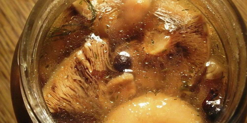 Рецепт маринованных рыжиков