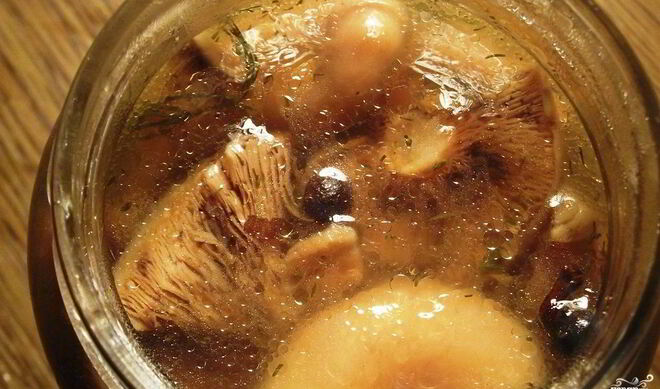 Маринованные рыжики