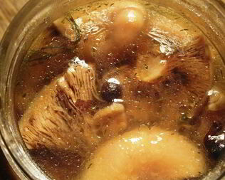 Маринованные грибы