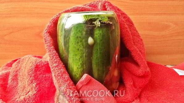 огурцы под капроновой крышкой на зиму