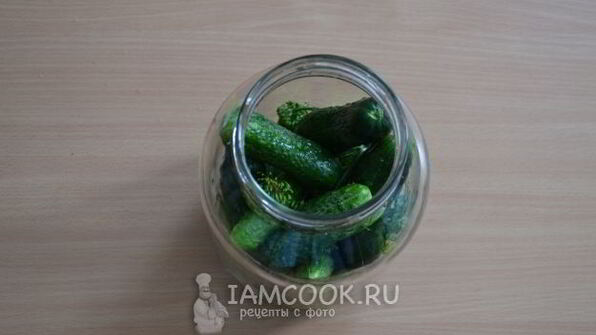 классические малосольные огурцы