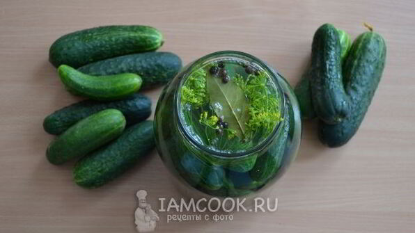 классические малосольные огурцы