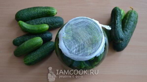 классические малосольные огурцы