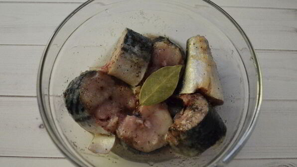 малосольная скумбрия