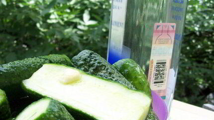 Малосольные огурчики в пакете