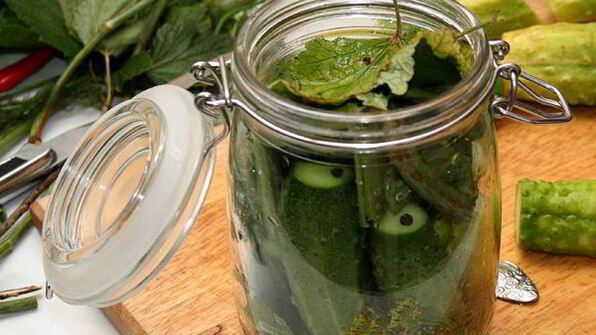 малосольные огурцы холодного засола