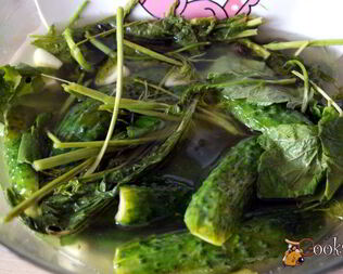 Малосольные огурцы на минералке Суточные