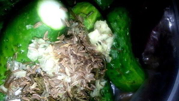 малосольные огурцы всухую