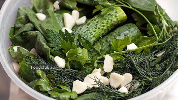 малосольные огурцы