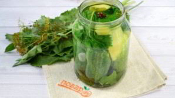 огурцы консервированные малосольные