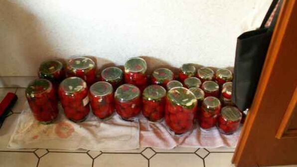 помидоры консервированные