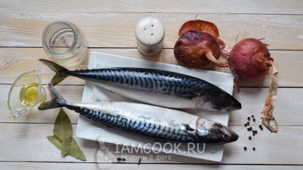 скумбрия малосольная