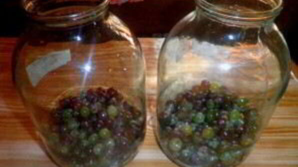 виноград на зиму