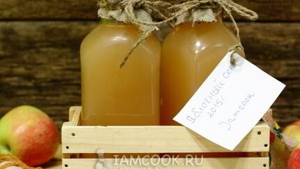 Яблочный сок через соковыжималку