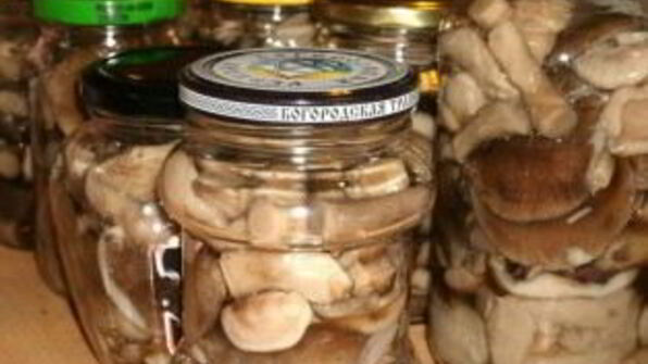 закатка грибов на зиму