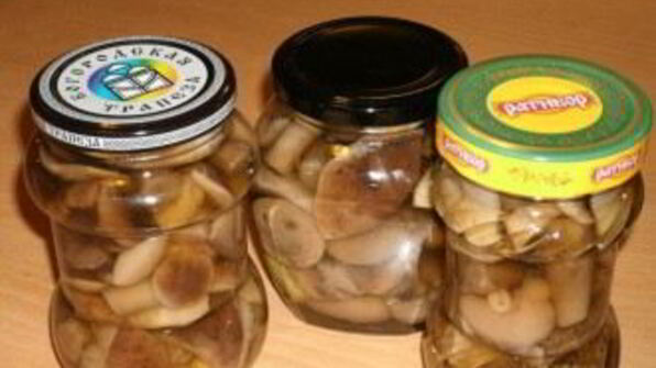 закатка грибов на зиму