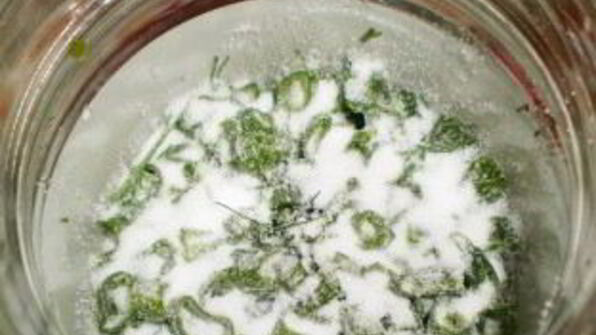 зеленый лук на зиму