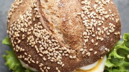 Гамбургер дома