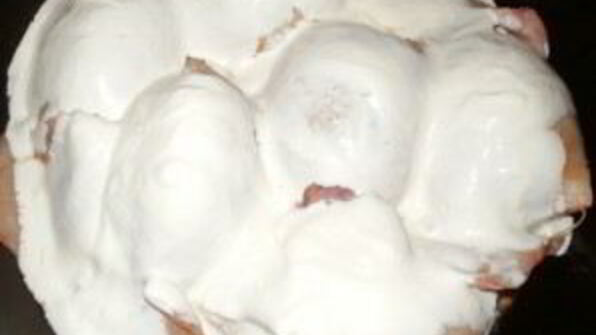 фаршированные кальмары с рисом и яйцом