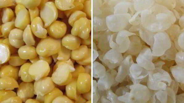 хумус биль тахина с авокадо