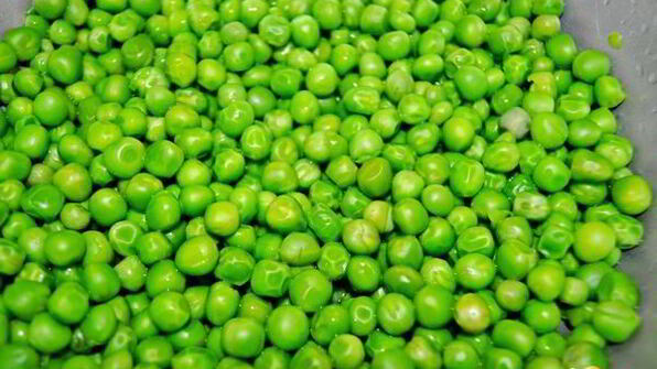 паштет из зеленого горошка