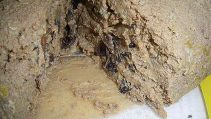 Паштет печеночный с шампанским