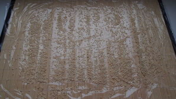 роллы из творога с фруктами