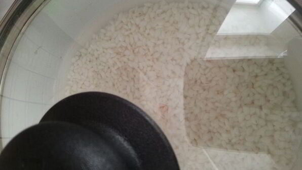 роллы разбитое сердце самурая