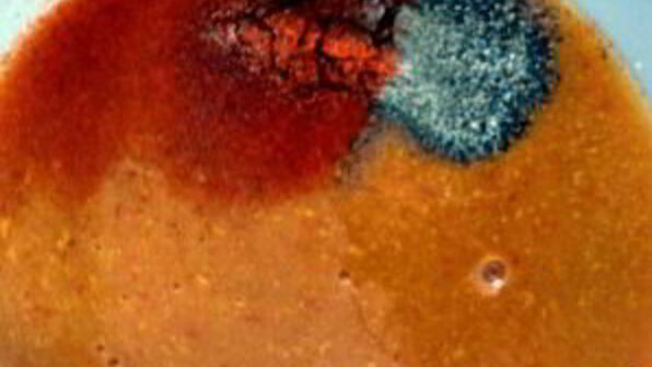 сэндвич барбекю со свининой