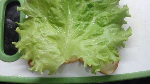 сэндвич с омлетом