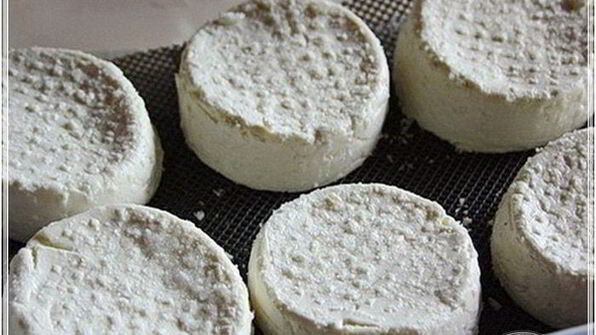 сыр кроттен из молока англо-нубийских коз