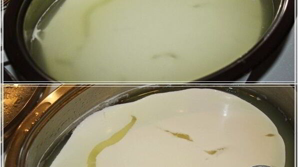 сыр кроттен из молока англо-нубийских коз