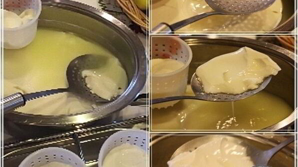 сыр кроттен из молока англо-нубийских коз