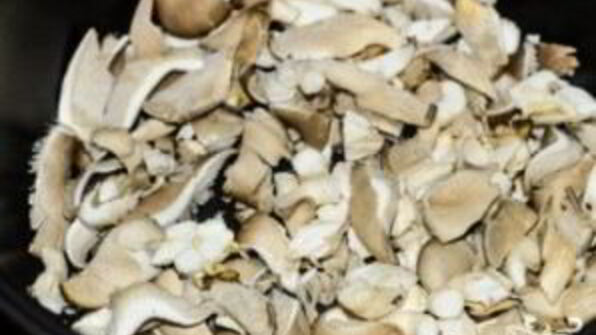 жульен из вешенок