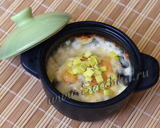 Жульен с грибами и курицей