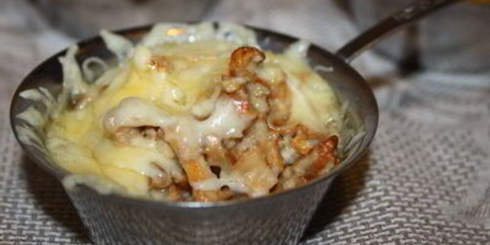 Рецепт жюльена из лисичек