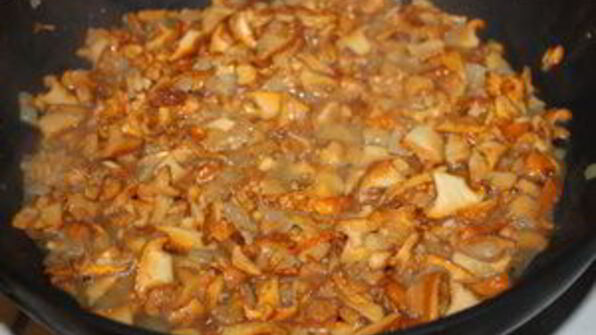 жюльен из лисичек